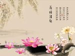 国画荷花