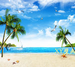蓝天白云沙滩大海椰树海星海鸥