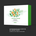 竹工艺术品小清新包装设计