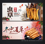 冬虫夏草