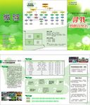 教育培训招聘折页