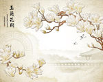 玉兰花开
