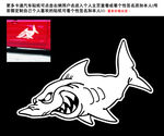 矢量鱼
