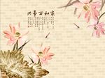 家和万事兴荷花