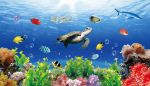 海底世界