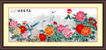 牡丹花