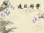 牡丹玉兰花