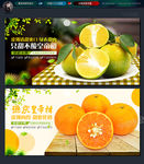 皇帝柑