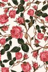 简约玫瑰花图案