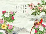 国画牡丹花
