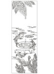 滴水 鱼 叶
