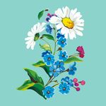水彩野菊花