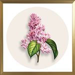 挂画