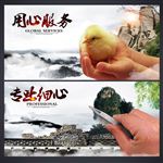 文化墙