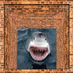 3D地画