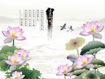 爱莲说荷花