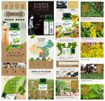 中草药保健品通用详情页