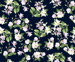 叶子花朵