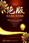高档地产绝版豪宅开盘海报单页