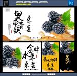 桑葚