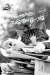 广告人