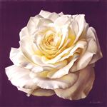 花卉 油画 装饰画 静物 欧美