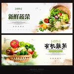 蔬菜