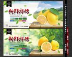 柠檬