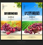 葡萄