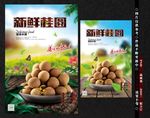 桂圆