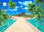 海滩椰子树