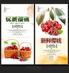 樱桃