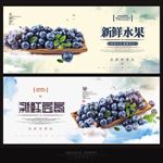 蓝莓