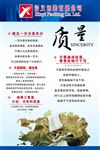 企业文化展板 质量