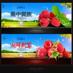 树莓