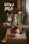 你好周末