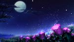 中秋花月夜