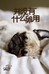 狗