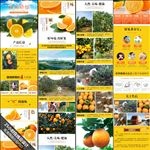 赣南脐橙详情设计产品宝贝描述