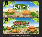 土豆