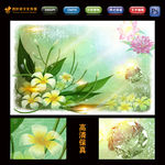 梦幻花