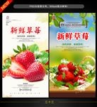 草莓