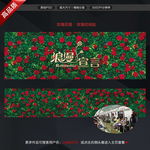 玫瑰花墙