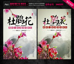 杜鹃花节日海报