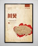 川贝