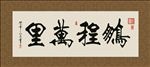 鹏程万里 书法 字画 毛笔字