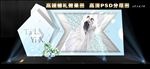 西式婚礼效果图