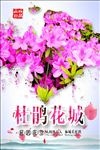 杜鹃花城