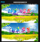 油菜花