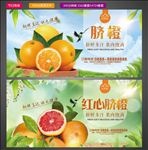 脐橙